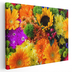 Tablou crizanteme floarea soarelui Tablou canvas pe panza CU RAMA 80x120 cm