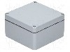 Carcasa poliester, 160mmx160mmx91mm, IP66, RAYCHEM RPG - GJB-16016091