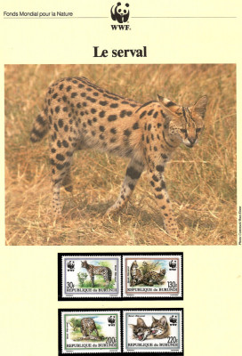 Burundi 1992 - Servalul, Set WWF, 6 poze, MNH, (vezi descrierea) foto
