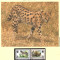 Burundi 1992 - Servalul, Set WWF, 6 poze, MNH, (vezi descrierea)