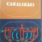 Canalizari- M.Negulescu