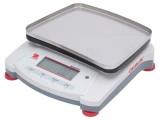 C&acirc;ntar electronic de precizie