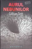 AURUL NEBUNILOR-GILLIAN TETT-353184