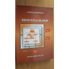 Societatile de grup- Florin Ioan Scortescu