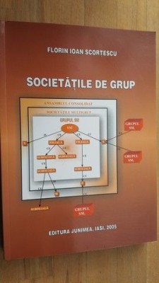 Societatile de grup- Florin Ioan Scortescu foto