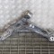 Braț inferior dreapta față CITRO&Euml;N JUMPER Furgon 2016 OEM: 50712142 11203438