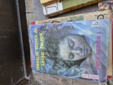 Jurnalul secret al Laurei Palmer vintage