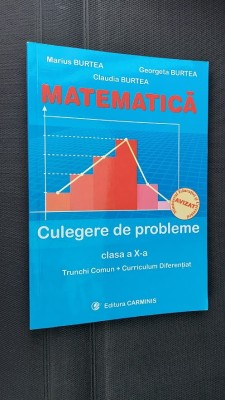 MATEMATICA CULEGERE DE PROBLEME CLASA A X A TRUNCHI COMUN CURRICULUM DIFERENTIAT foto
