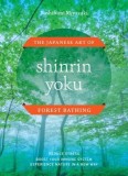 Shinrin Yoku: The Japanese Art of Forest Bathing