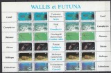 Wallis et Futuna 1981 - FAUNA MARINA - PESTI,CORALI,MOLUSTE etc - XXL - MNH, Nestampilat