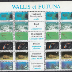 Wallis et Futuna 1981 - FAUNA MARINA - PESTI,CORALI,MOLUSTE etc - XXL - MNH