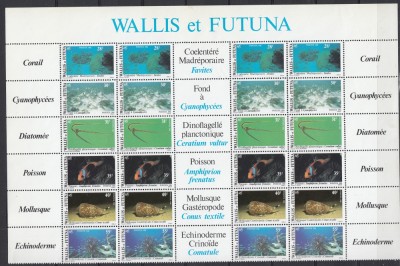 Wallis et Futuna 1981 - FAUNA MARINA - PESTI,CORALI,MOLUSTE etc - XXL - MNH foto