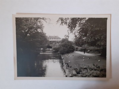 4 fotografii dimensiune 6/9 cm cu peisaje din Danemarca foto