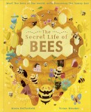 The Secret Life of Bees | Moira Butterfield