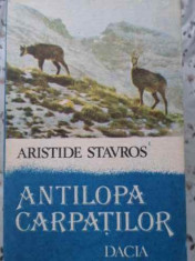 ANTILOPA CARPATILOR-ARISTIDE STAVROS foto