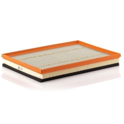 Filtru aer Mann-Filter C4019 foto