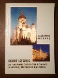 Pr. Prof. Dr. Alexandru Moraru - Scurt istoric al Eparhiei Ortodoxe Rom&acirc;ne a Vadului, Feleacului și Clujului (2001)
