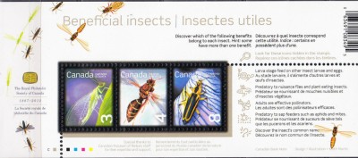 CANADA 2012 FAUNA INSECTE foto