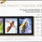 CANADA 2012 FAUNA INSECTE