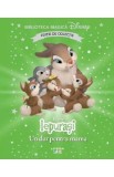 Iepurasi. Un dar pentru mama. Biblioteca magica Disney