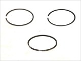 Mahle Set segmenti piston