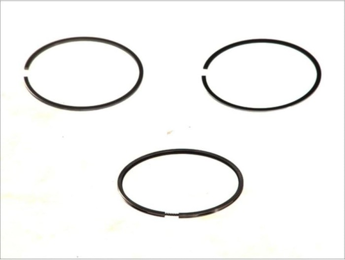 Mahle Set segmenti piston