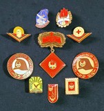 Lot 10 insigne Pionieri