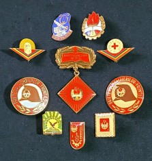 Lot 10 insigne Pionieri foto