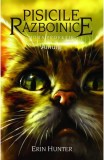 Pisicile razboinice (vol. 11): Noua profetie. Amurg - All