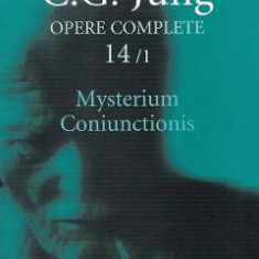 Opere complete 14/1: Mysterium Coniunctionis - C. G. Jung