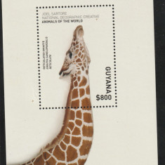 Guyana 2017-Fauna,girafa,colita dantelata,MNH,Mi,Bl.967