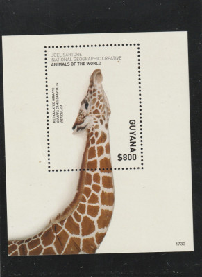 Guyana 2017-Fauna,girafa,colita dantelata,MNH,Mi,Bl.967 foto