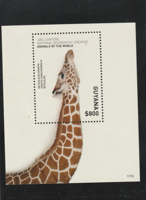 Guyana 2017-Fauna,girafa,colita dantelata,MNH,Mi,Bl.967