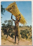 bnk cp Africa - Femeie carand trestie - uzata