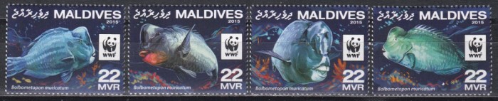 Maldive 2013 - WWF - Peștele papagal verde, MNH