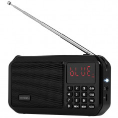 Radio portabil cu acumulator GoGEN FMP 125 BTB, FM, Bluetooth, lanterna, card