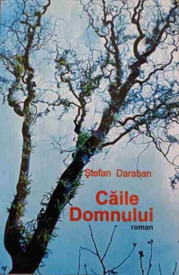 CAILE DOMNULUI-STEFAN DARABAN-221214 foto