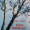 CAILE DOMNULUI-STEFAN DARABAN-221214