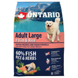 ONTARIO Adult Large 7 Fish &amp;amp; Rice 2,25kg