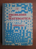 Ion Petrica - Probleme de matematica pentru gimnaziu (1985, usor uzata)
