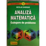 ANALIZA MATEMATICA. CULEGERE DE PROBLEME-NICOLAE GHERGHE-300586