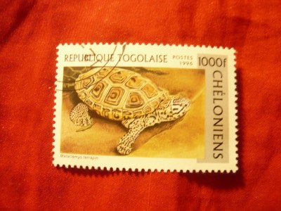 Timbru Togo 1996 - Fauna - Broasca Testoasa , val. 1000 fr stampilat foto