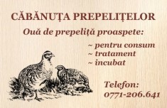 Oua de prepeli?a foto