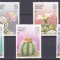 DB1 Flora Cactusi Laos 1986 7 v. MNH