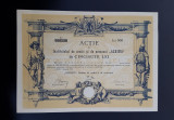 Actiune 1926 Banca ALBINA / titlu / actiuni / institut de credit