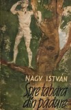 Spre tabara din padure - Nagy Istvan