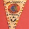 Fanion (vechi-colectie) fotbal - Turneul UEFA 1965-Germania(inclusiv Romania)