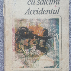 Orasul cu salcami, Accidentul, Mihail Sebastian, Ed Eminescu 1985, 358 pagini