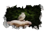 Cumpara ieftin Sticker decorativ, gaura in perete 3D, Bird, 85 cm, 184STK-1, natura si peisaje