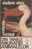 V. Olaru Din tainele migrației animalelor